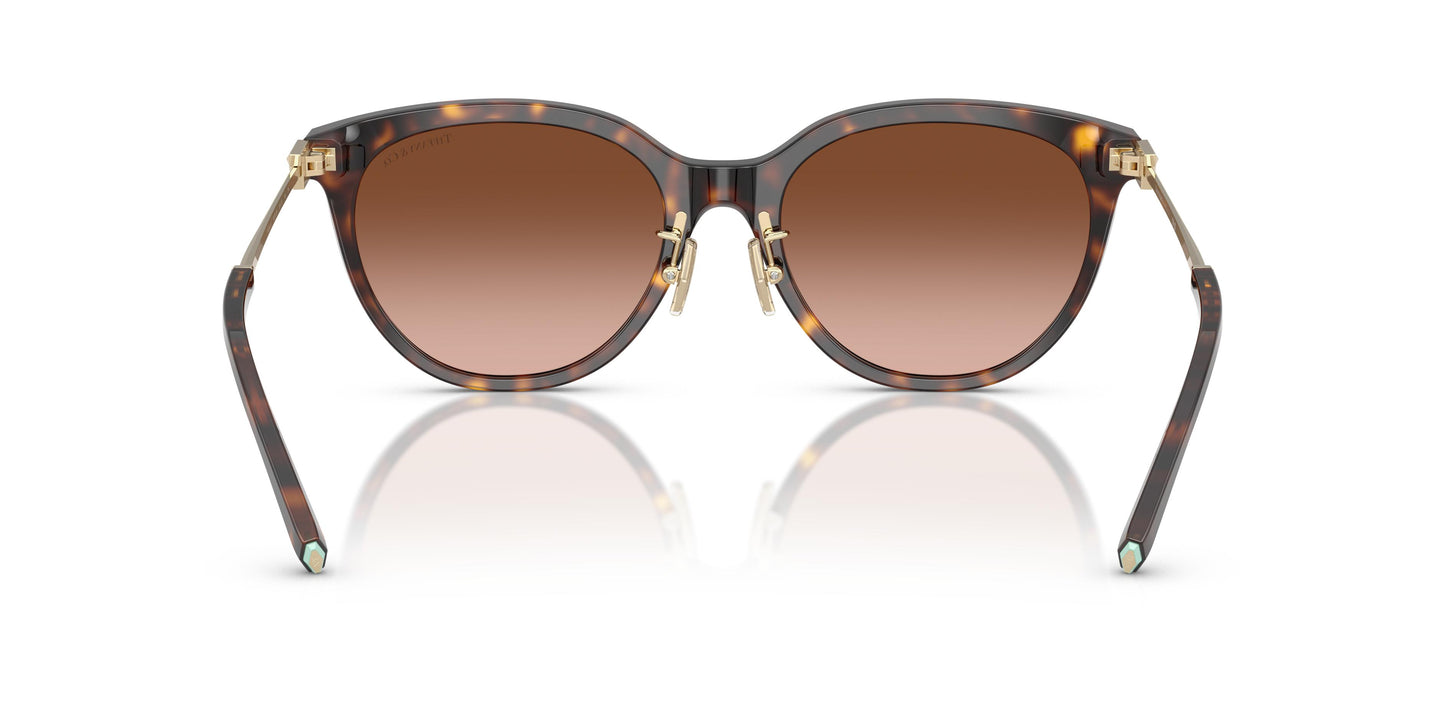 Tiffany TF4243D  80153B 55