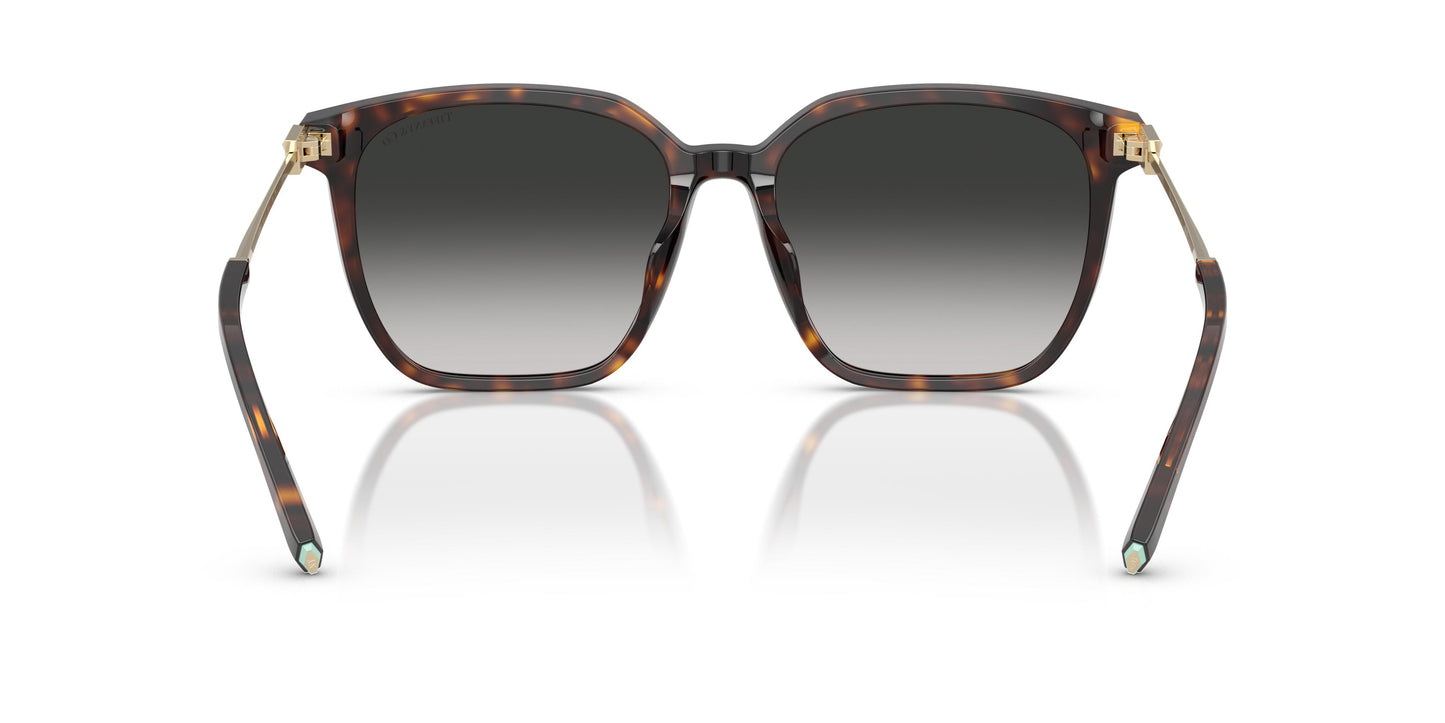 Tiffany TF4244D  80153C 56