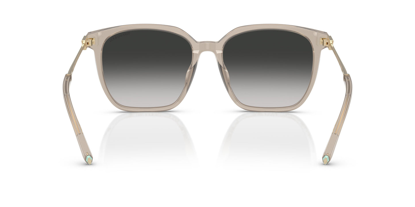 Tiffany TF4244D  82503C 56