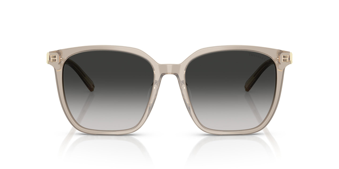 Tiffany TF4244D  82503C 56