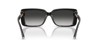 Tiffany TF4249 80013C 55