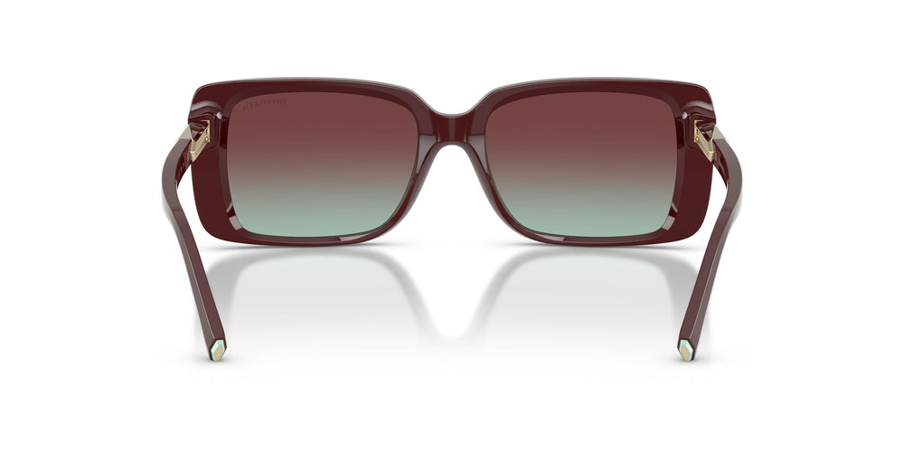 Tiffany TF4249 8389V5 55