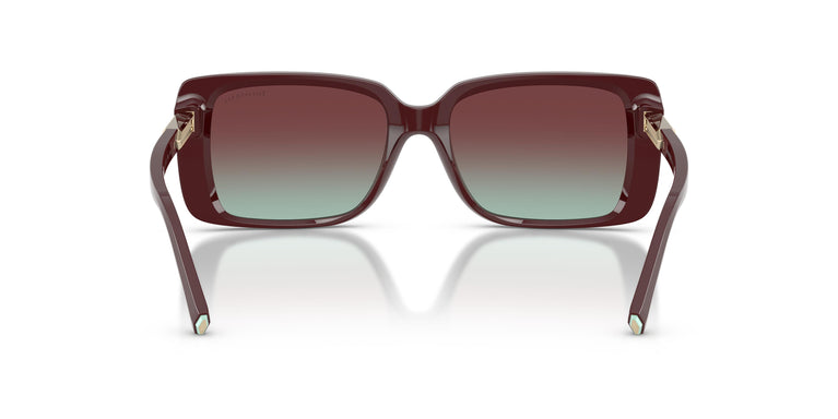 Tiffany TF4249 8389V5 55