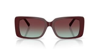 Tiffany TF4249 8389V5 55