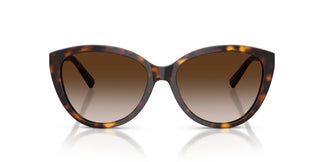 Tiffany TF4251 80153B 56