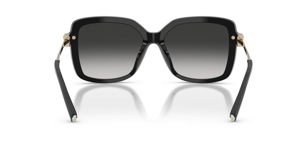 Tiffany TF4252B 80013C 55