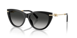 Tiffany TF4253 80013C 55