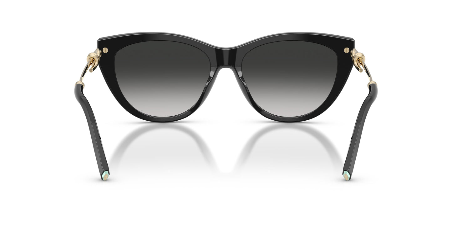 Tiffany TF4253 80013C 55