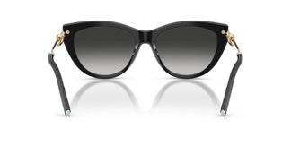 Tiffany TF4253 80013C 55