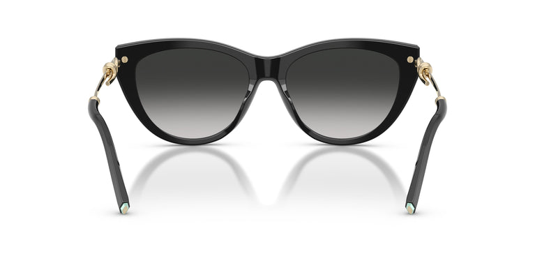 Tiffany TF4253 80013C 55