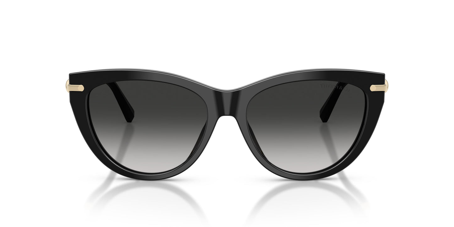 Tiffany TF4253 80013C 55