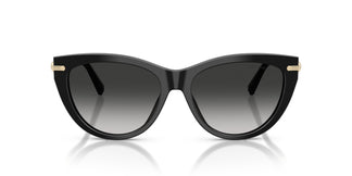 Tiffany TF4253 80013C 55