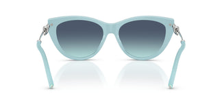 Tiffany TF4253 80559S 55