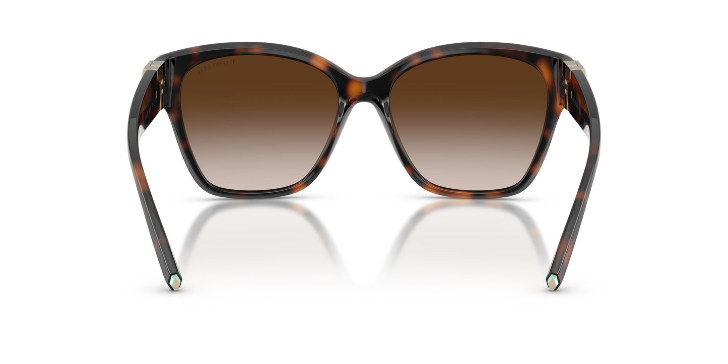 Tiffany TF4254U 80153B 56