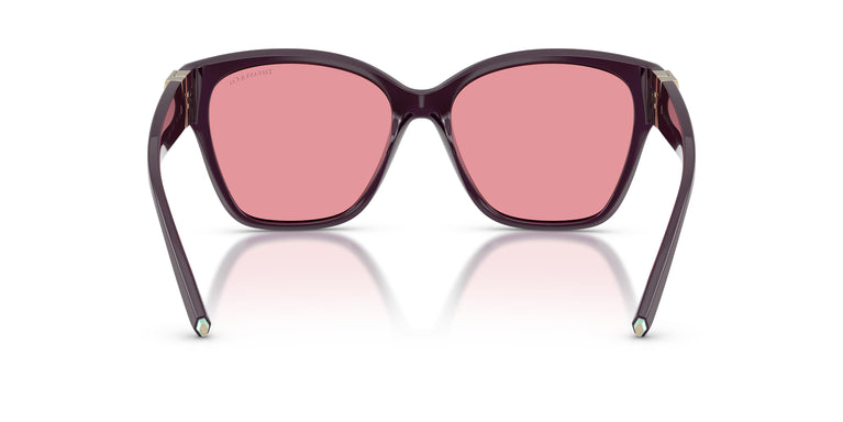 Tiffany TF4254U 84279L 56