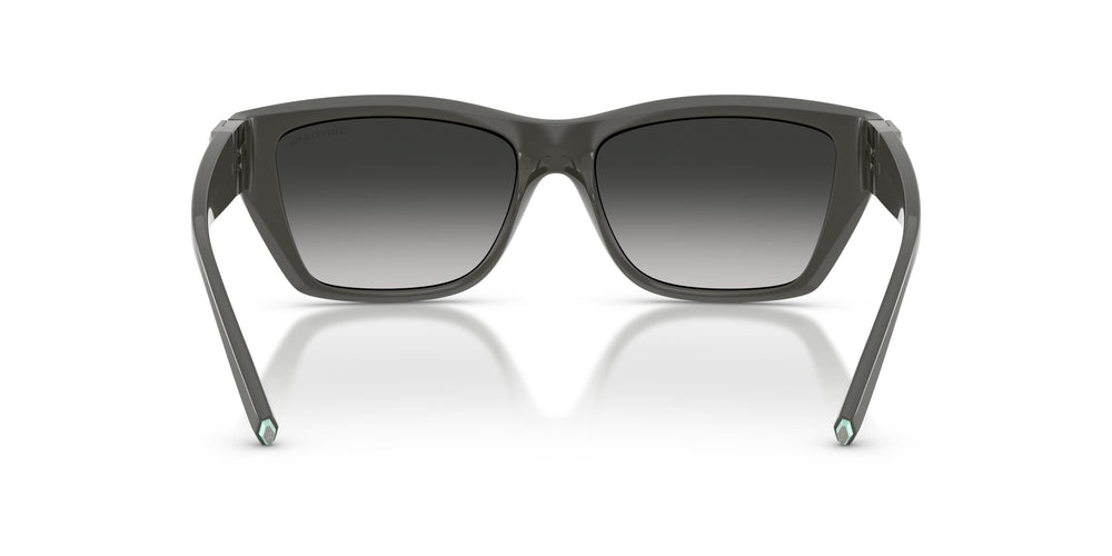 Tiffany TF4255U 84463C 56