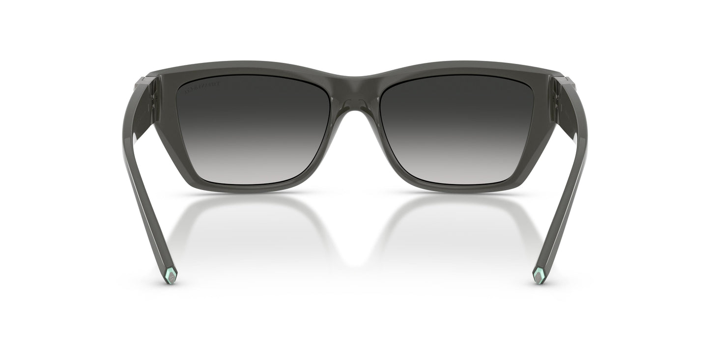 Tiffany TF4255U 84463C 56