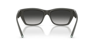 Tiffany TF4255U 84463C 56