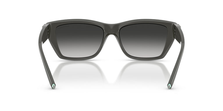 Tiffany TF4255U 84463C 56