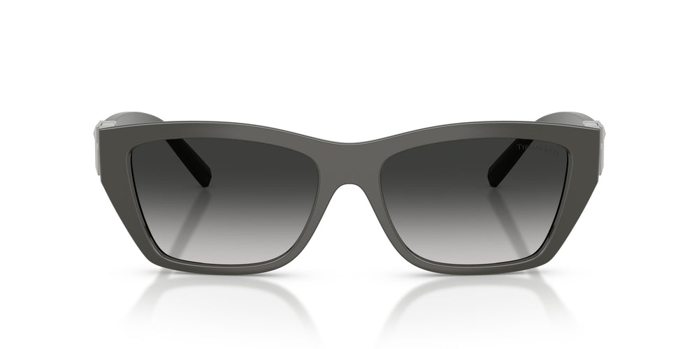 Tiffany TF4255U 84463C 56