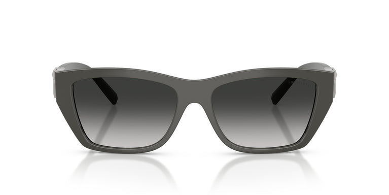 Tiffany TF4255U 84463C 56
