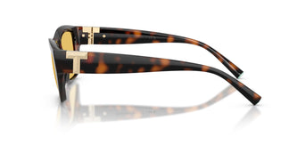 Tiffany TF4255U 845685 56