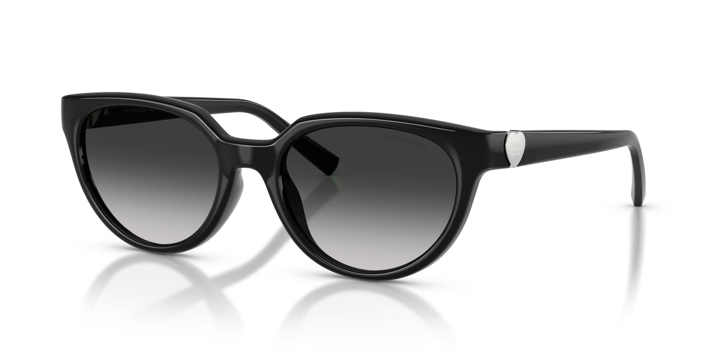 Tiffany TF4256D 80013C 55