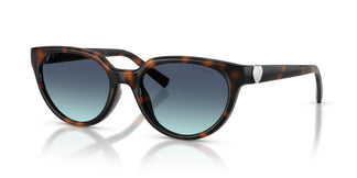 Tiffany TF4256D 80159S 55