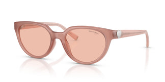 Tiffany TF4256D 844884 55