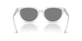 Tiffany TF4256D 845787 55