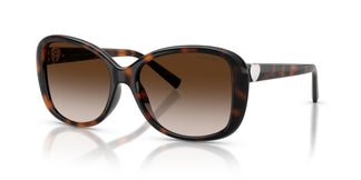 Tiffany TF4257U 80153B 56