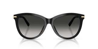Tiffany TF4258BU 80013C 57