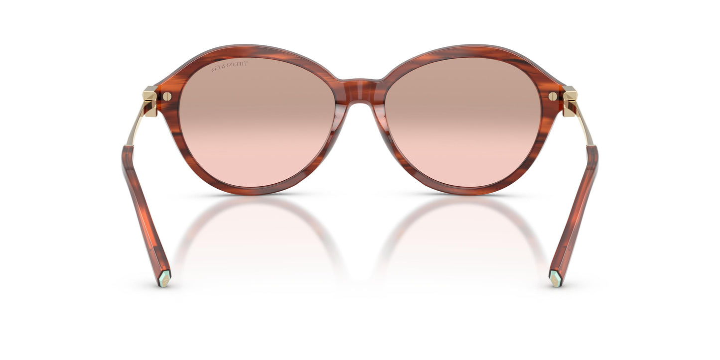 Tiffany TF4259 84407E 56