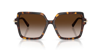 Tiffany TF4260U 80153B 57