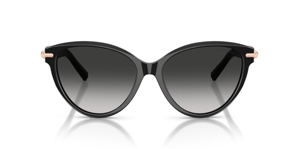 Tiffany TF4261 80013C 56