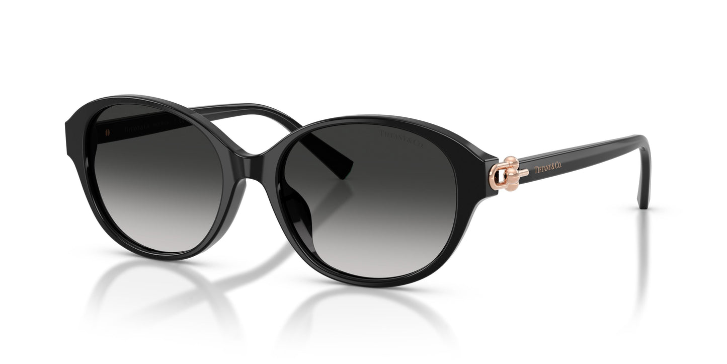 Tiffany TF4263D 80013C 54