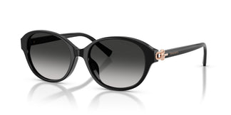 Tiffany TF4263D 80013C 54
