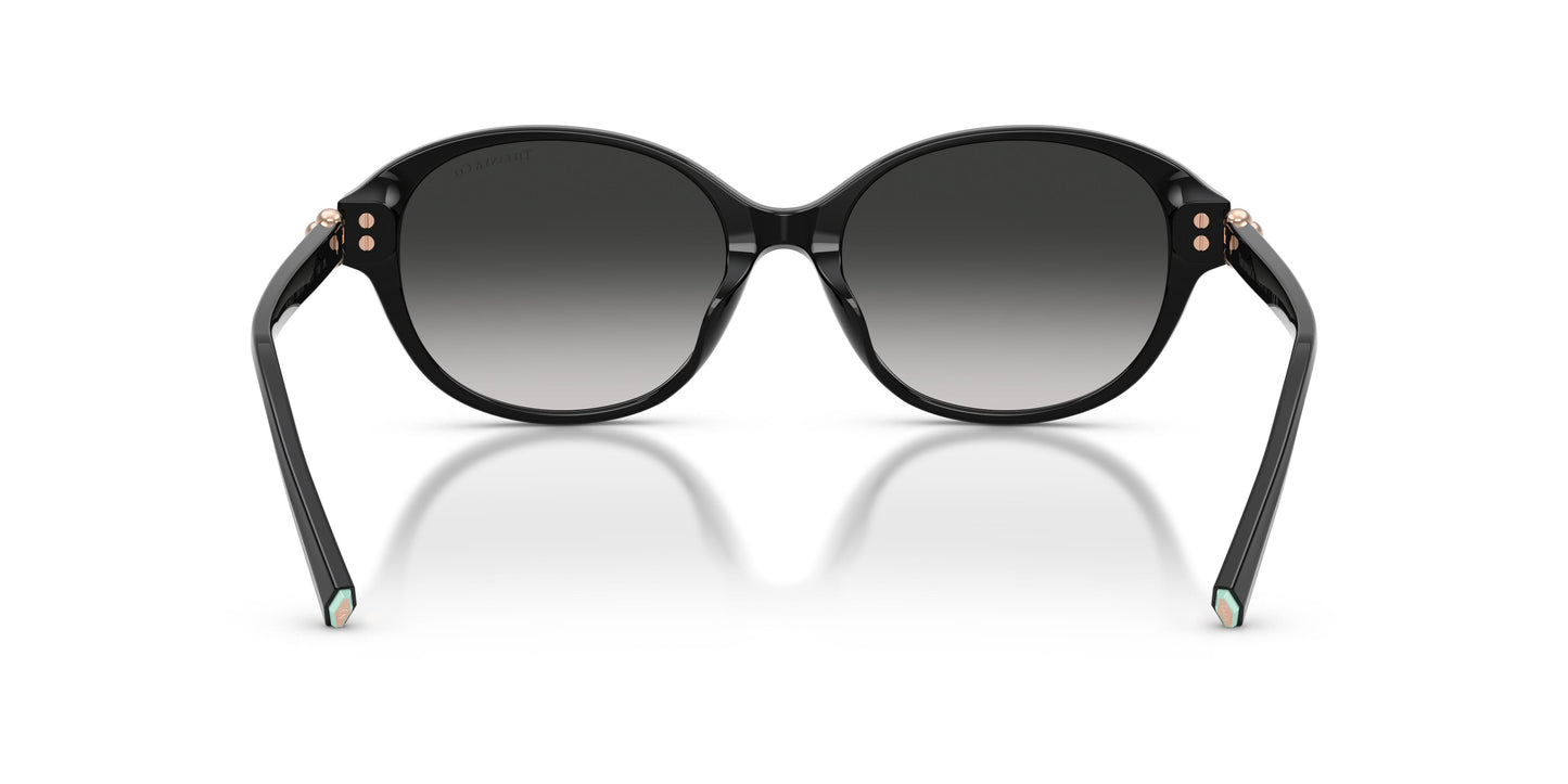 Tiffany TF4263D 80013C 54