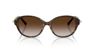 Tiffany TF4263D 81343B 54