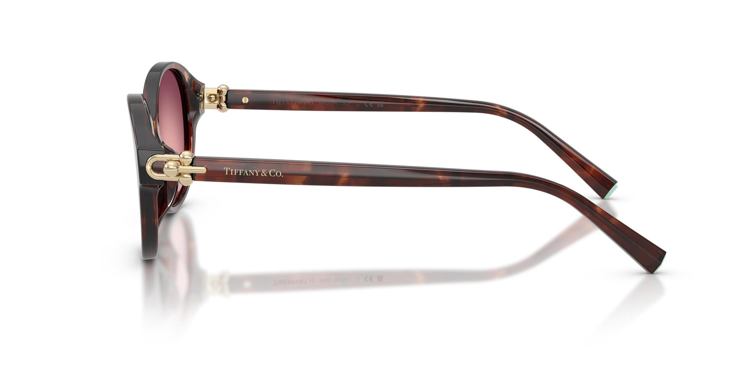 Tiffany TF4263D 84218H 54
