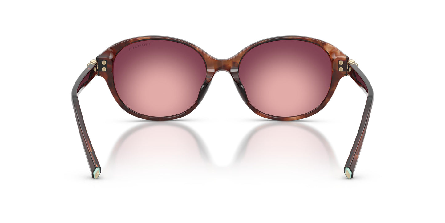 Tiffany TF4263D 84218H 54