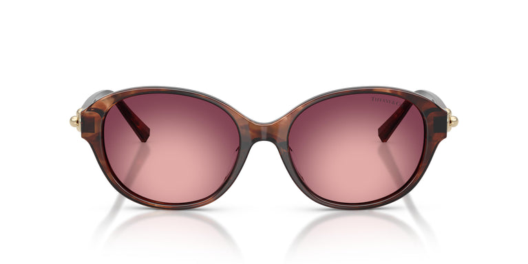 Tiffany TF4263D 84218H 54