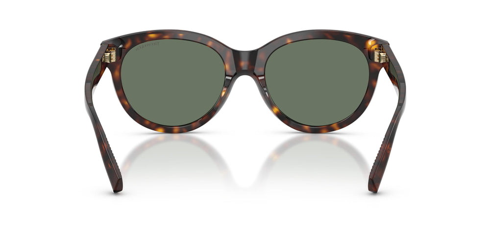 Tiffany TF4271 80153H 55