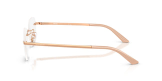 Versace VE1314D 1412 55