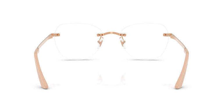 Versace VE1314D 1412 55