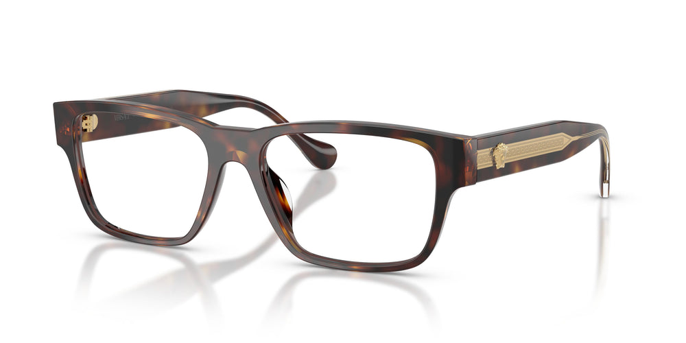 Versace VE3390U 5537 56