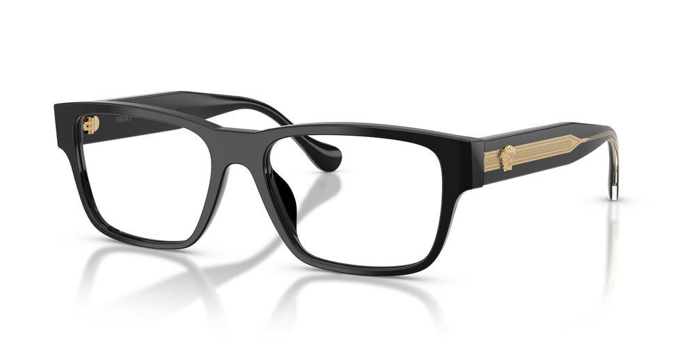 Versace VE3390U GB1 54