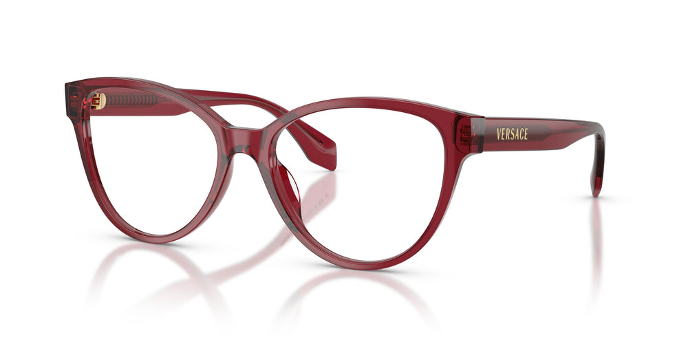 Versace VE3399U 388 54