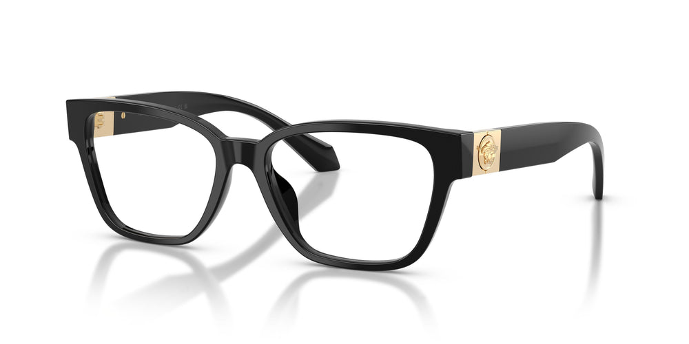 Versace VE3401U GB1 54