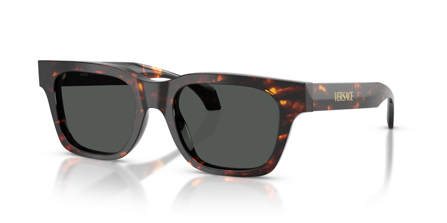 Versace VE4486  550987 52